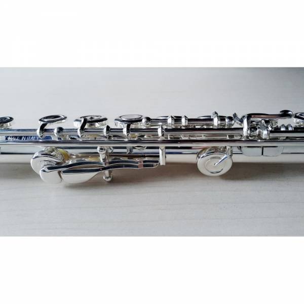 Vista lato flautista flauto traverso