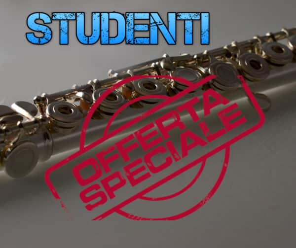 Flauto travero per studenti Offerta speciale