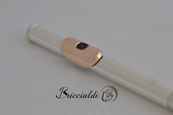 Flute Headjoint - 14kt Gold lip plate/riser - Silver tube - Image 2