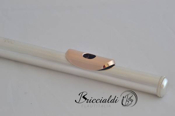 Flute Headjoint - 14kt Gold lip plate/riser - Silver tube - Image 4