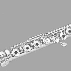 Beginner flute