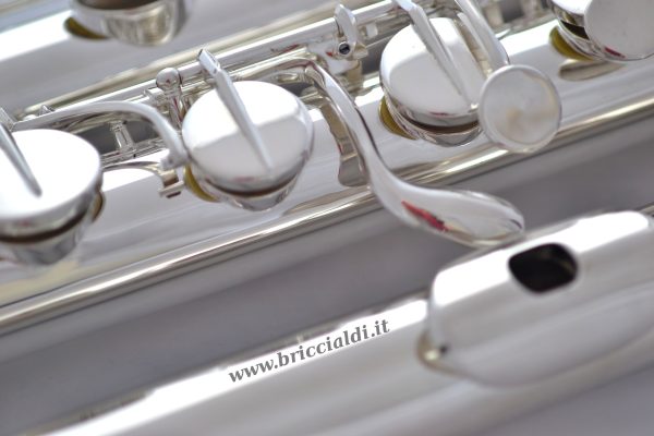Flauto-basso-albisiphon
